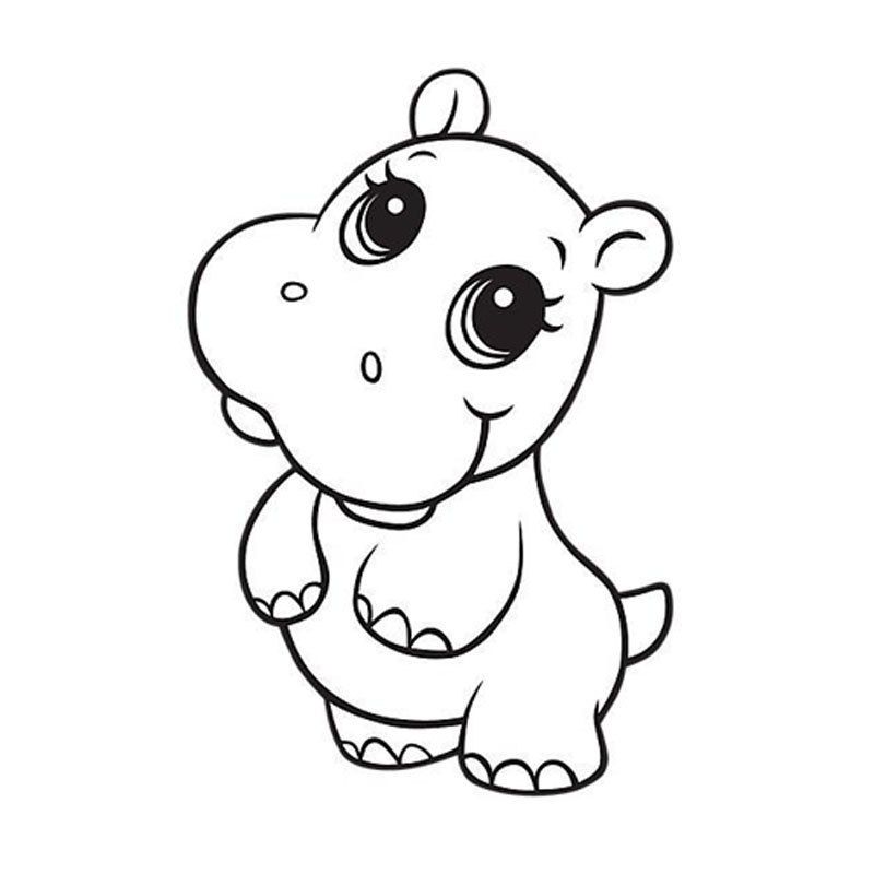 Hippopotamus