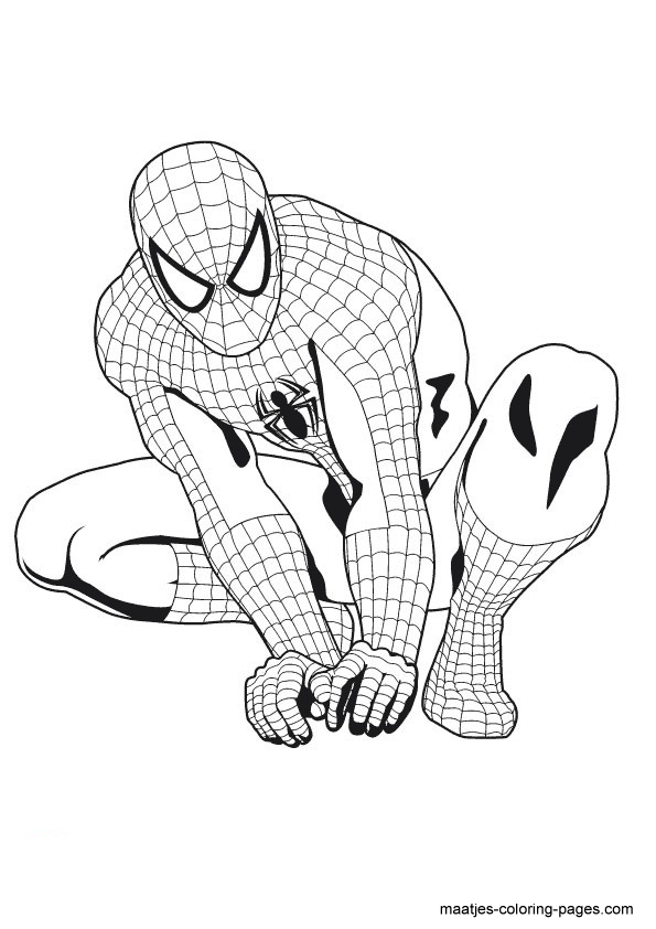 Spiderman coloring