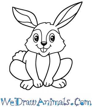 cartoon rabbit thumb