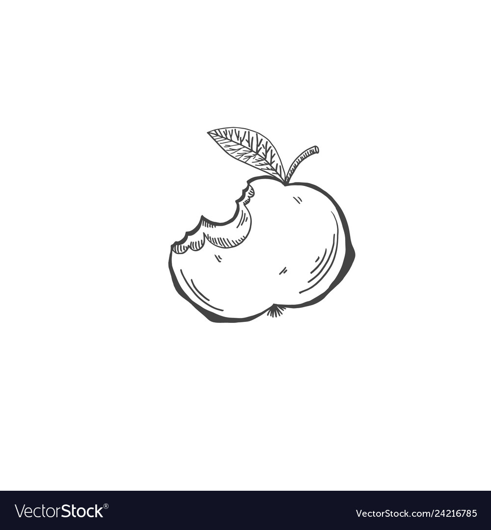 sketch drawing of bitten apple cartoon draw vector 24216785