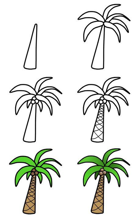 palm