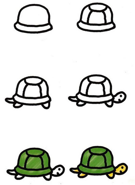 turtle