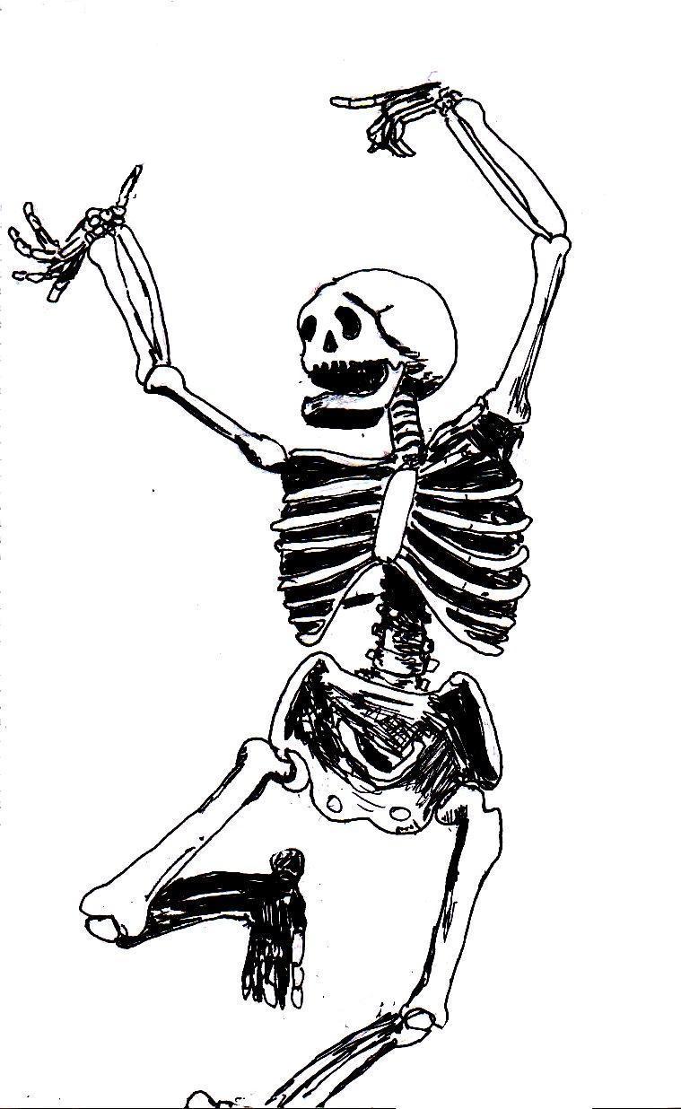 2015 artwork skeleton drawing study basic