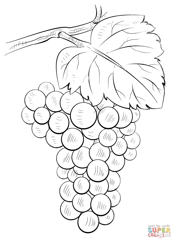 7a8b2916e109c2fda6110888e7ef2043