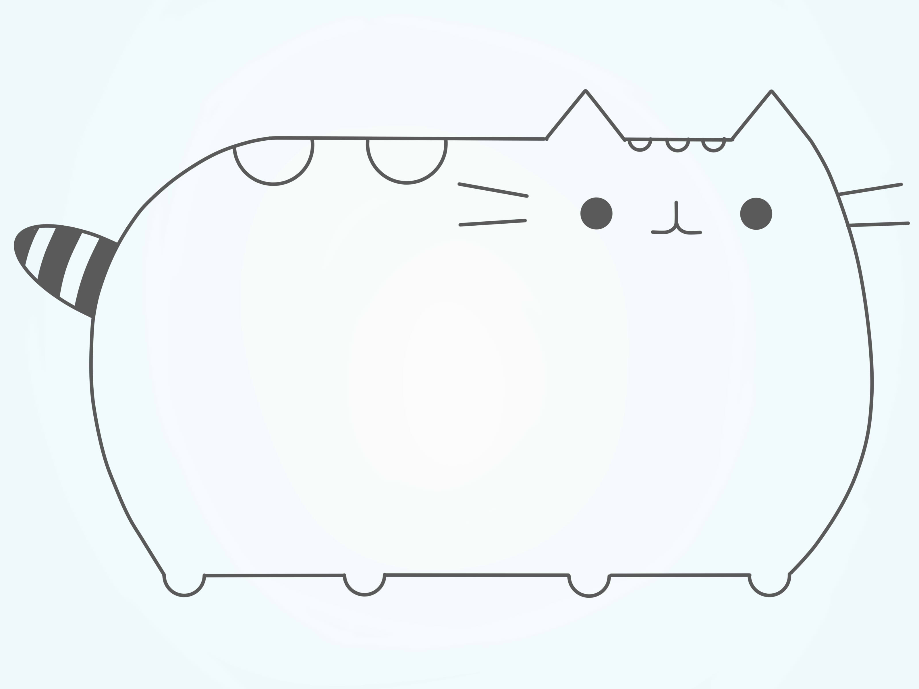 Draw Pusheen the Cat Step 9
