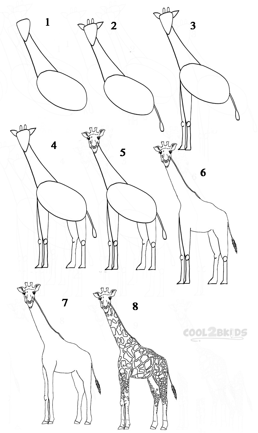 Draw a Giraffe Step by Step