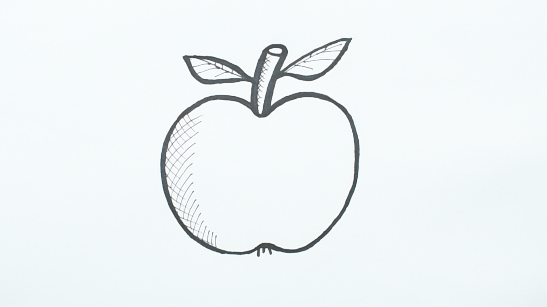 Draw an Apple Step 34