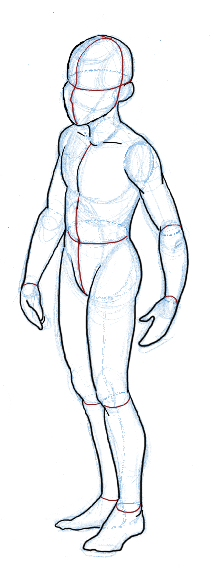 basic body drawing through