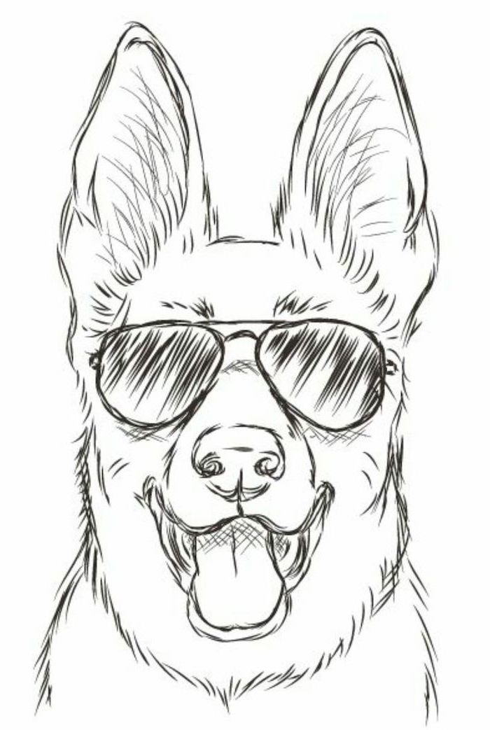 dog with sunglasses black white pencil sketch easy things to draw for beginners