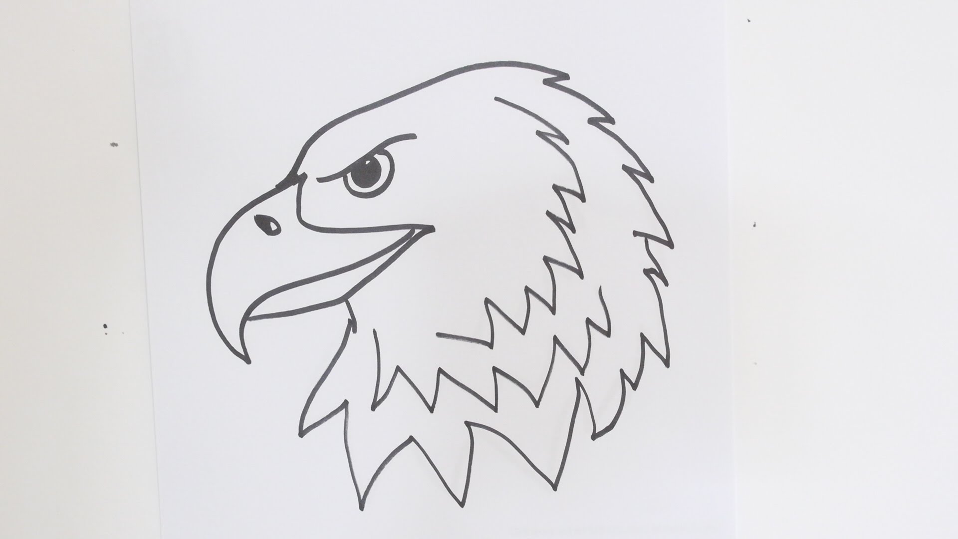 drawing of a eagle head step by step