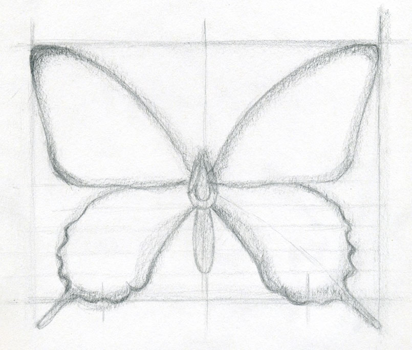 how to draw a butterfly04