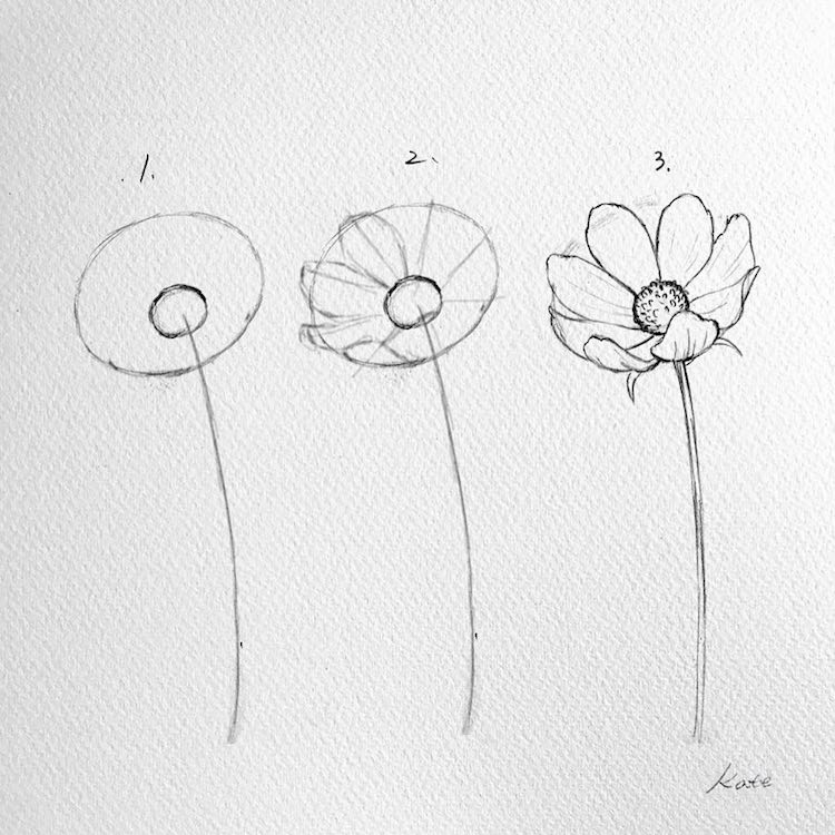 how to draw a flower kate kyehyun park 12