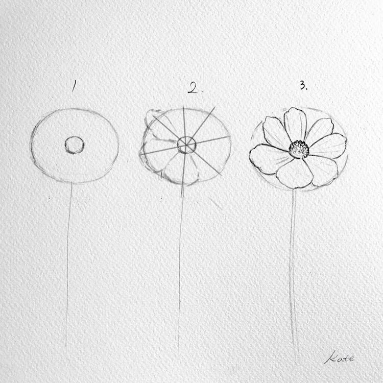 how to draw a flower kate kyehyun park 2