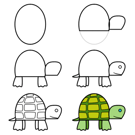 how to draw a turtle 3