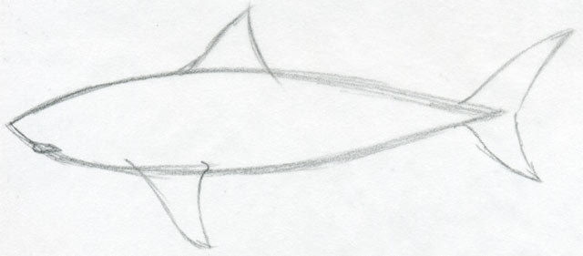 how to draw shark02