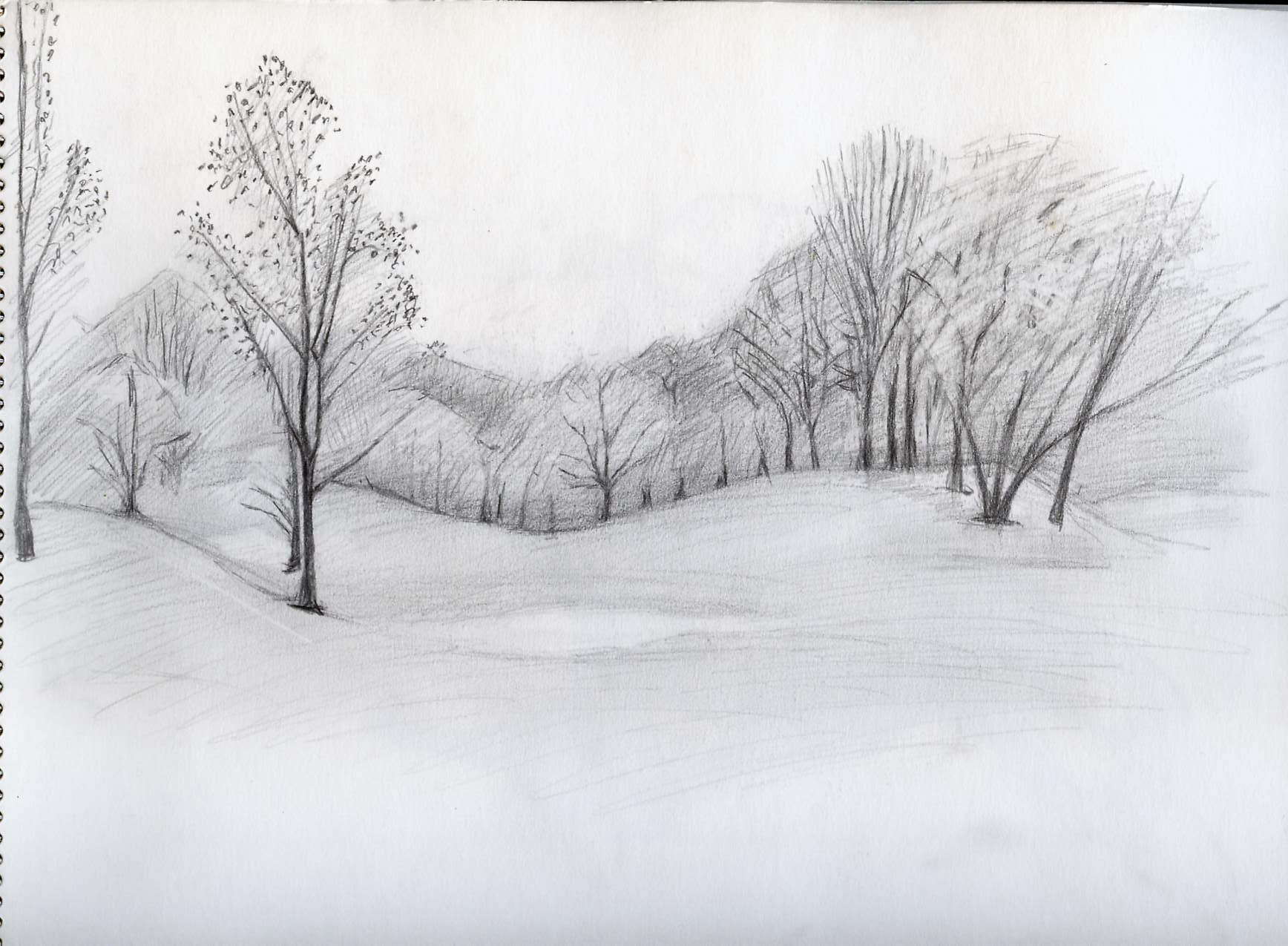 landscape with trees 0