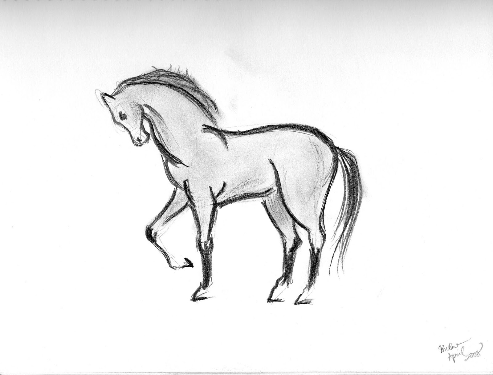 quick animal pencil sketches