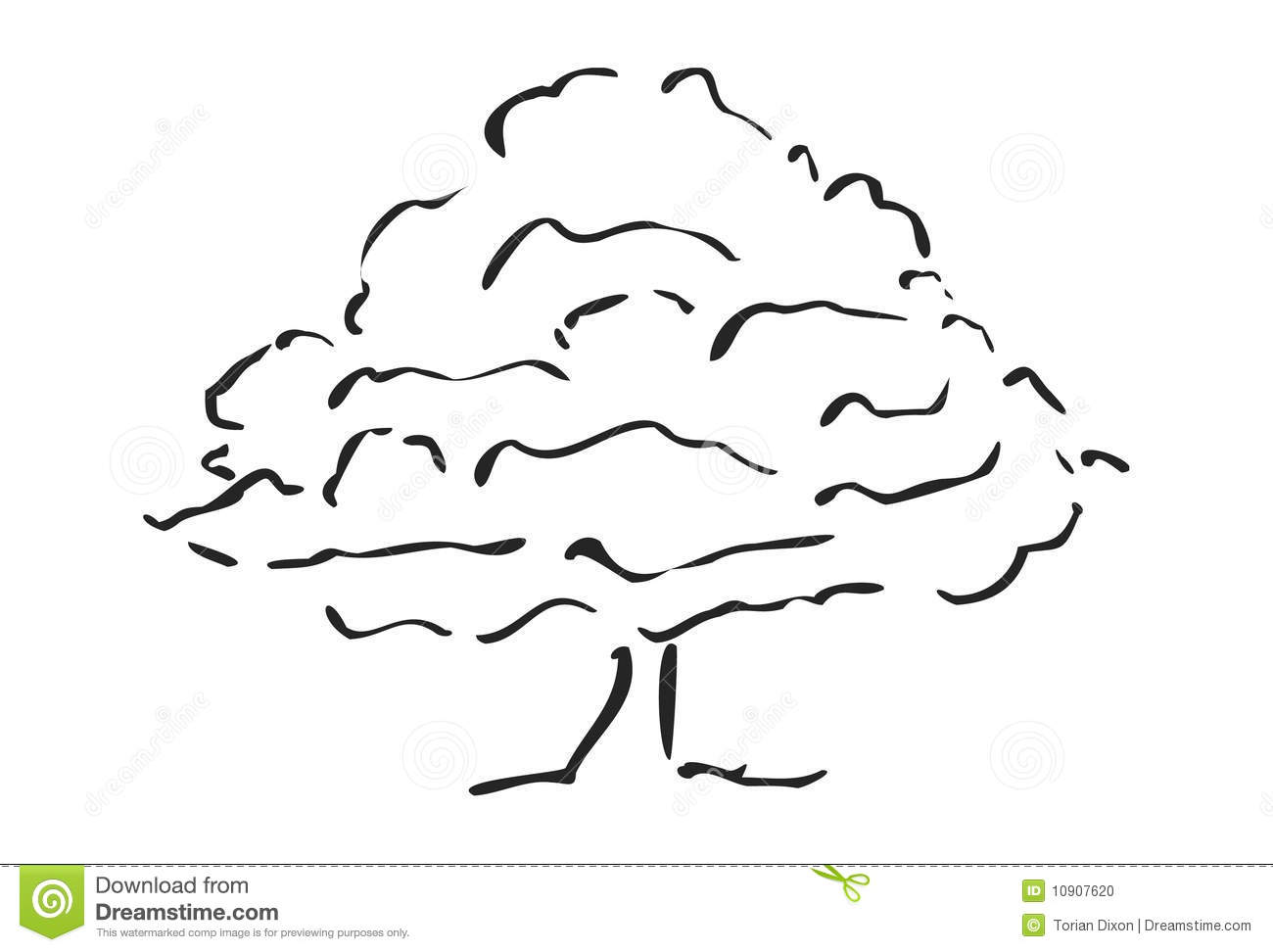 tree sketch 10907620