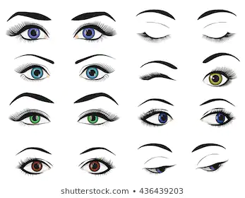 female woman eyes brows image 260nw 436439203