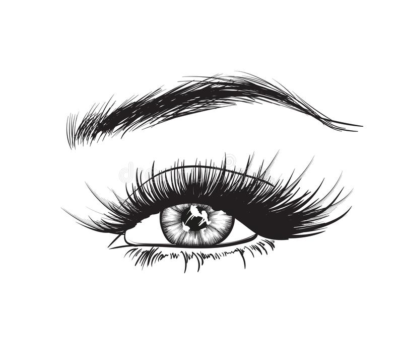 hand drawing eye white background hand drawing eye white background vector illustration 126765399