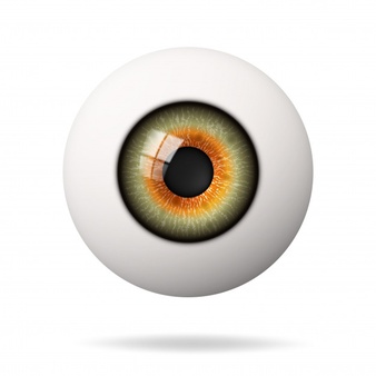 realistic human eyeball retina is foreground 99660 47
