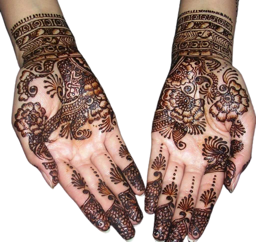 best mehndi designs (30)