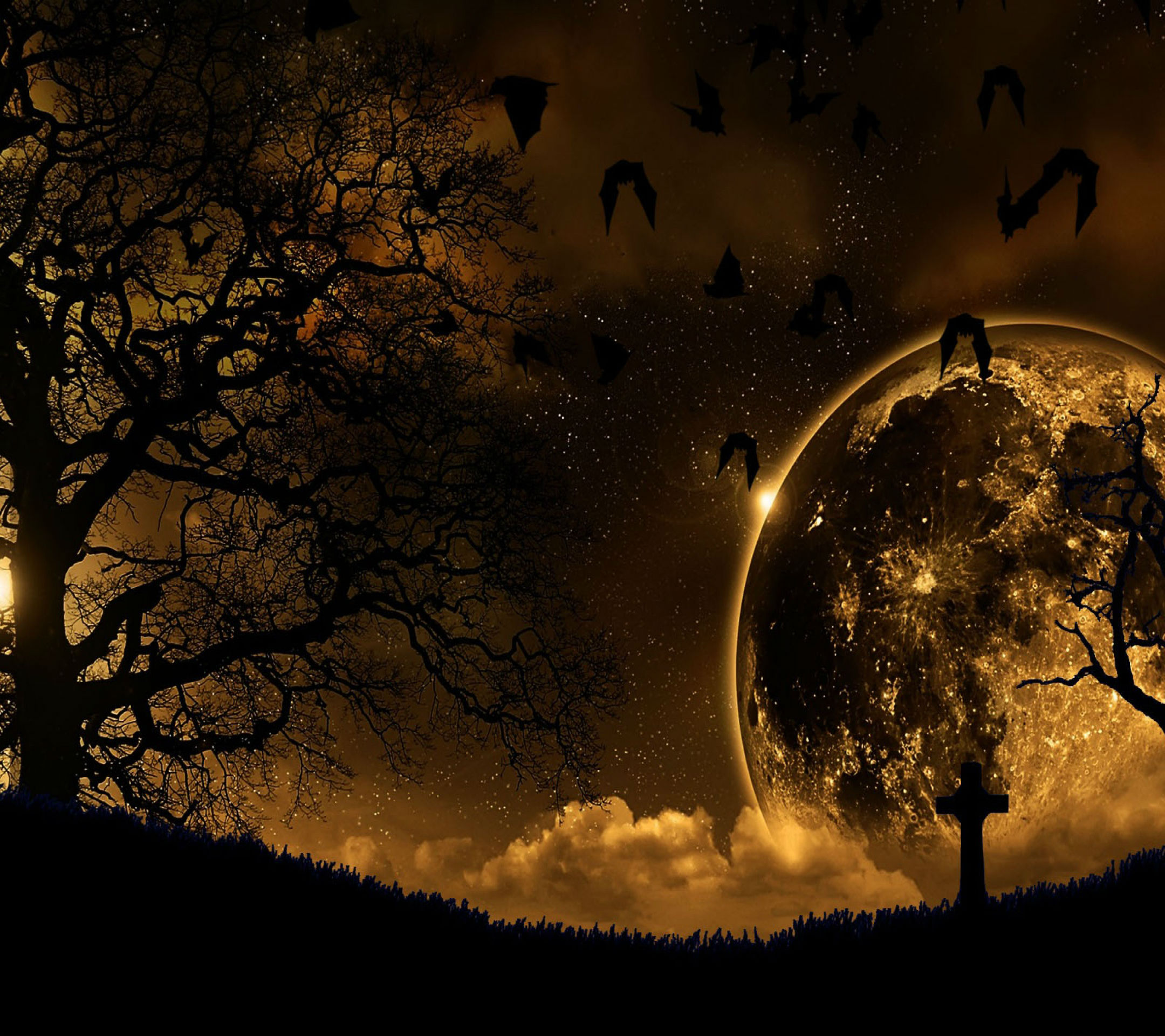 0971ad1e1539668d907a80804ecd73eb full