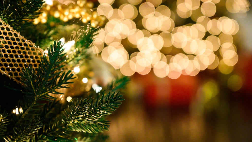 Christmas Lights Zoom Background (1)