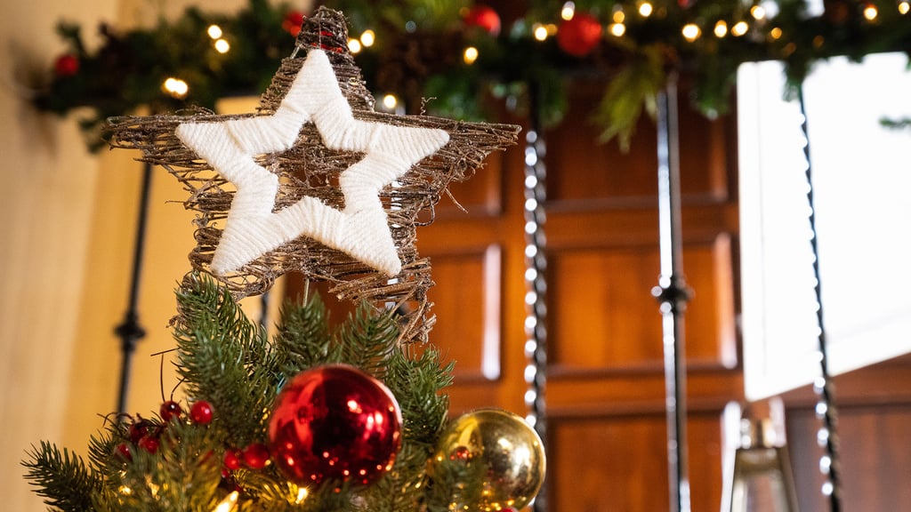 Tree Star Zoom Background