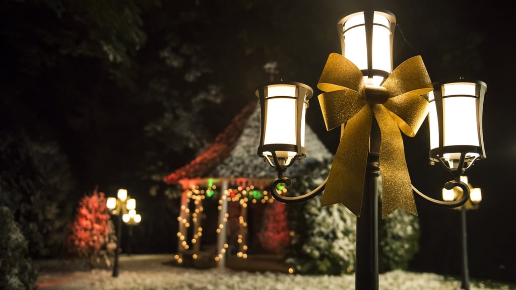 Wintry Zoom Background