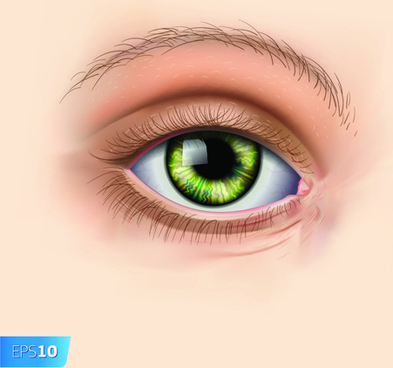 different_eyes_design_vector_533233