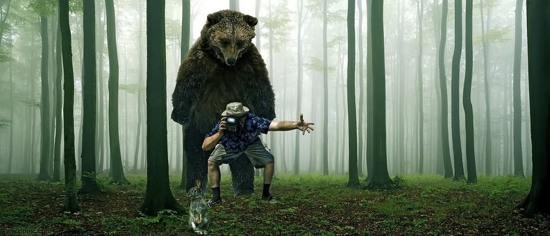 Funny-Dangerous-Bear-Behind-Photographer.jpg