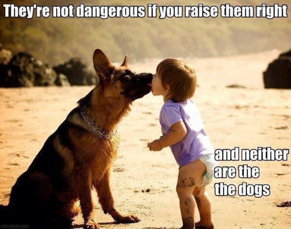 Funny-Dangerous-Dog-Kiising-Kid
