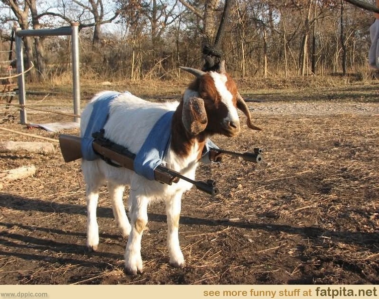 Funny-Dangerous-Goat-Picture-For-Whatsapp.jpg