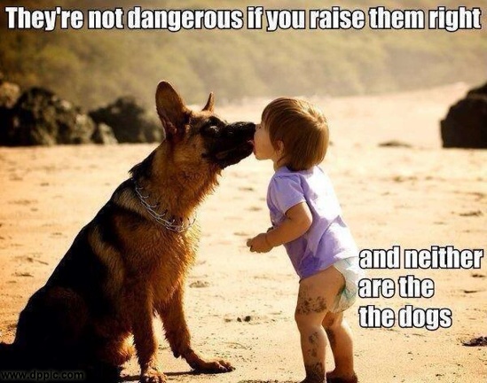 Funny-Dangerous-Dog-Kiising-Kid