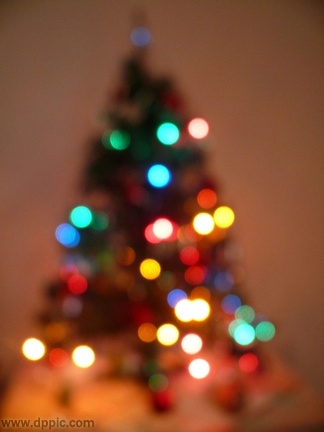 christmas tree 184252