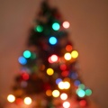 christmas tree 184252
