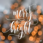 merry-and-bright-christmas-pic-4
