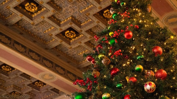 Christmas-Tree-Zoom-Background (3)