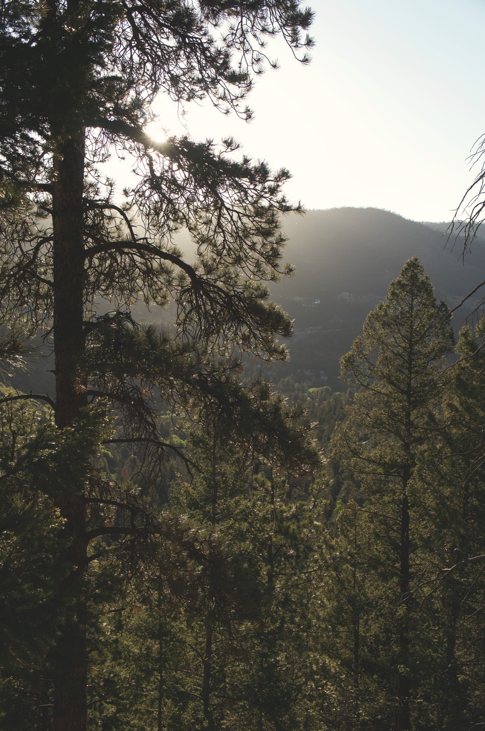 david w riggs s2PSTPUWDdQ unsplash