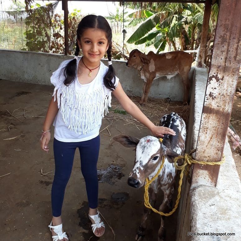 sitara ghattamaneni (16)