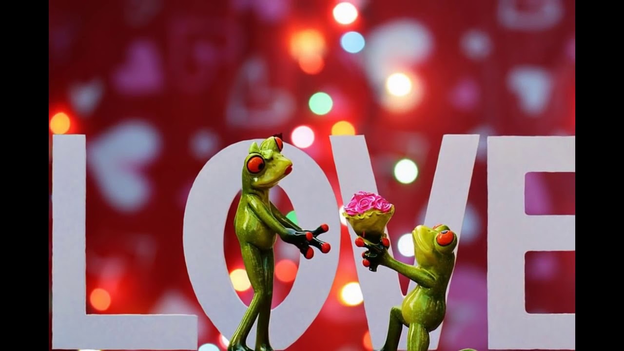 90 909535 latest best love amazing whatsapp profile images photoes