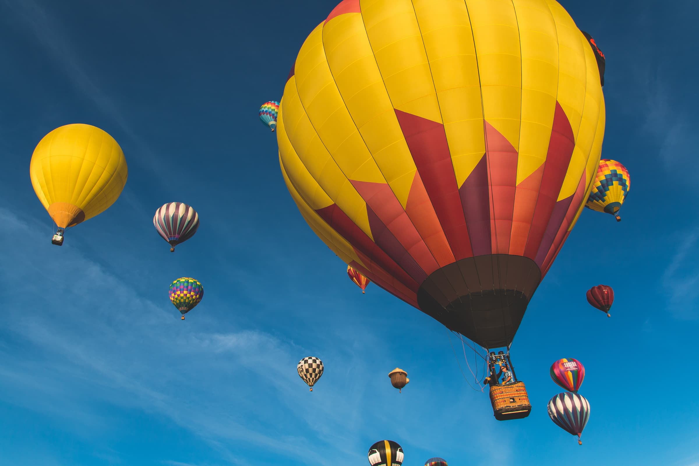 hosea georgeson  8k7ZPFS4q8 unsplash