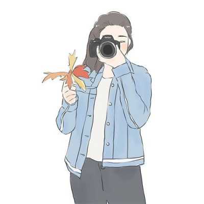 dppic attitude dp102 