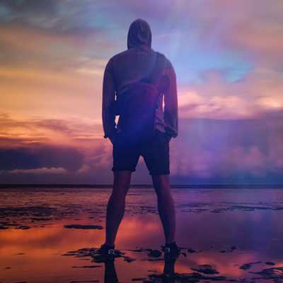 dppic attitude dp110 