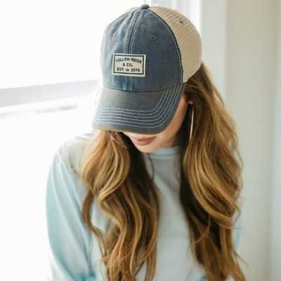 dppic attitude dp123 