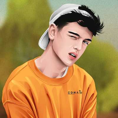 dppic attitude dp131 