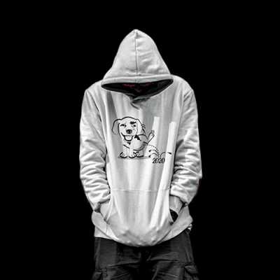 dppic attitude dp132 