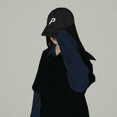 dppic attitude dp167 