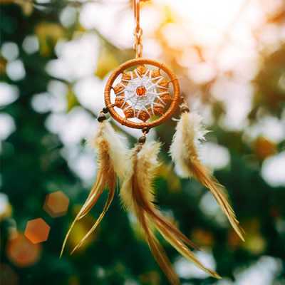 dppic beautiful d24p 